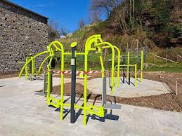 Calysthenics